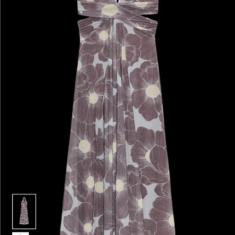 Zara dress